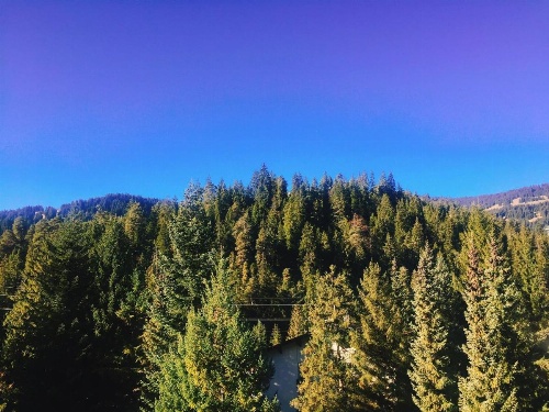 Laax Rancho Residence image 7