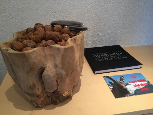 Laax Rancho Residence image 8